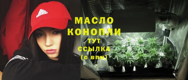 гидра Абаза
