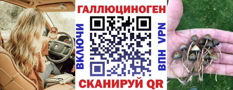 omg зеркало Топки Псилоцибиновые грибы мицелий